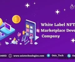Features of White Label NFT Marketplace development services